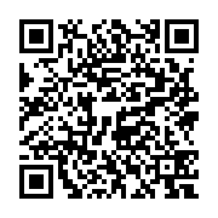 QR code for GEI1393