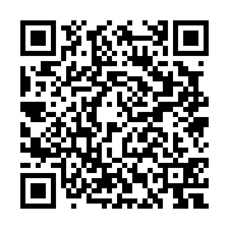 QR code for GEQ0313