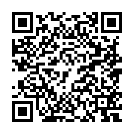 QR code for GGX9528