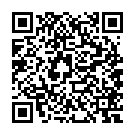 QR code for GIF2491