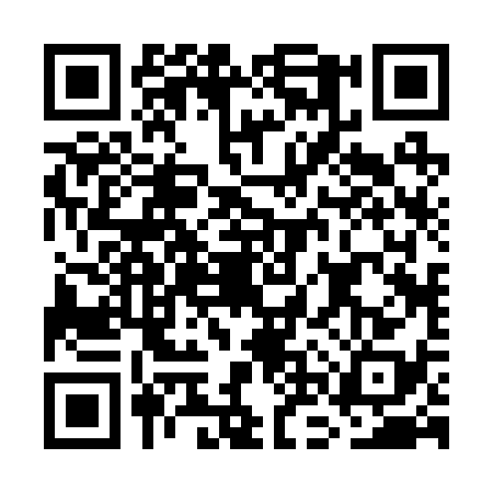 QR code for GNR2384