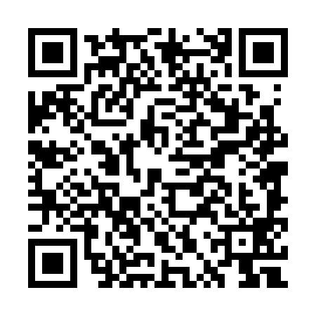 QR code for GPT3991