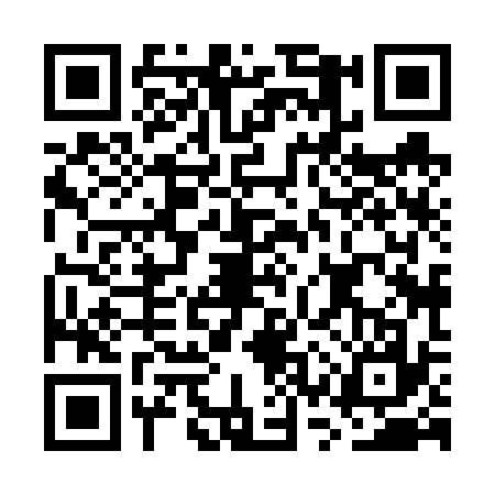 QR code for GSX6379