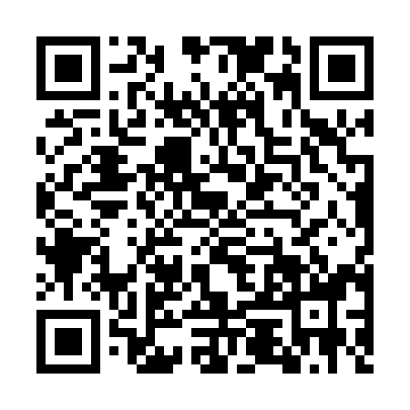 QR code for GUN0989