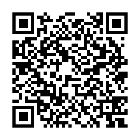 QR code for GYQ2393