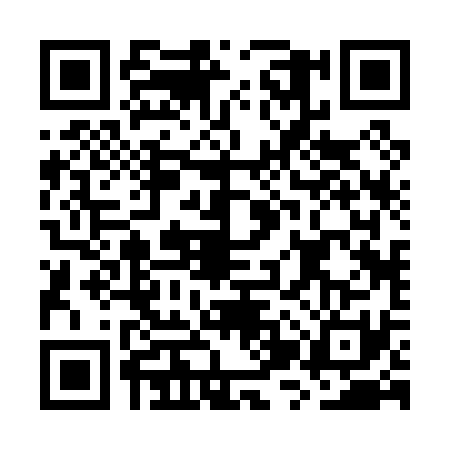QR code for GZR0313