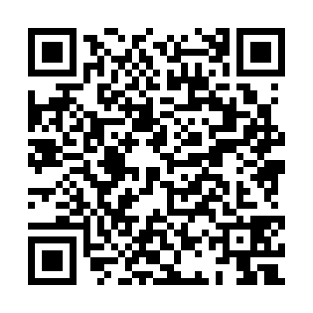 QR code for HAX3383