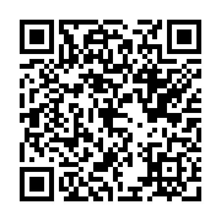 QR code for HEP3383