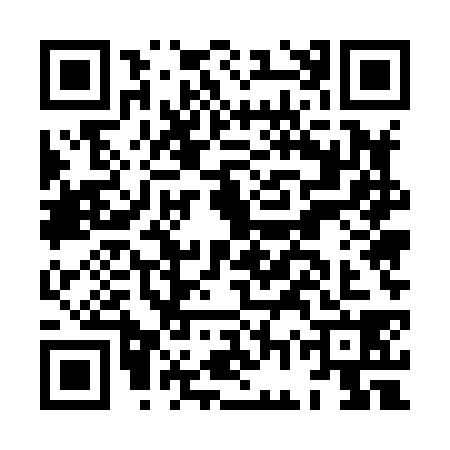 QR code for HGU8387