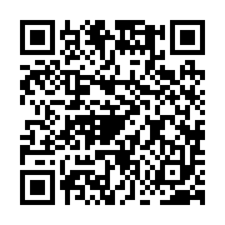 QR code for HGX2938