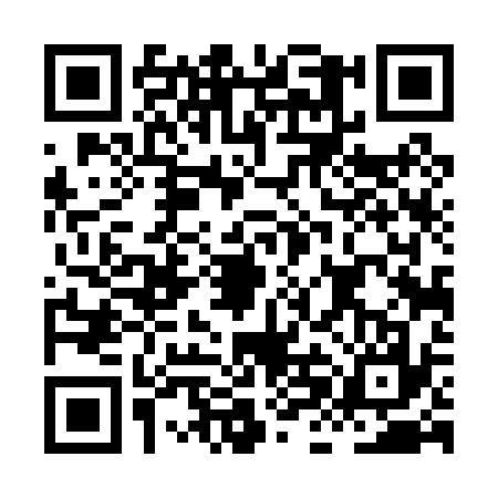 QR code for HHD0379