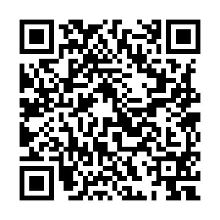 QR code for HHS9941