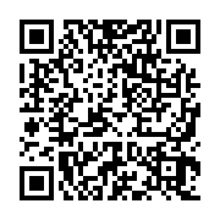 QR code for HII1228