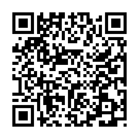 QR code for HIN9935