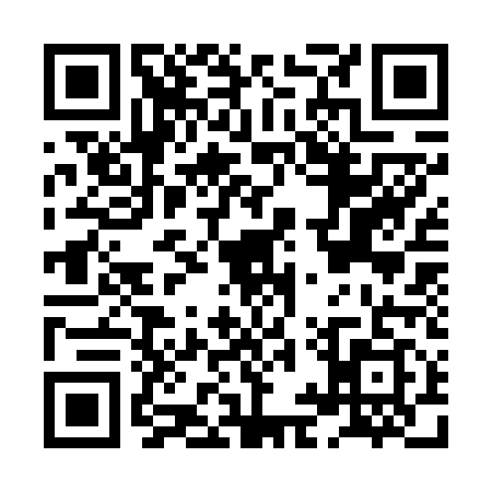 QR code for HIS6193