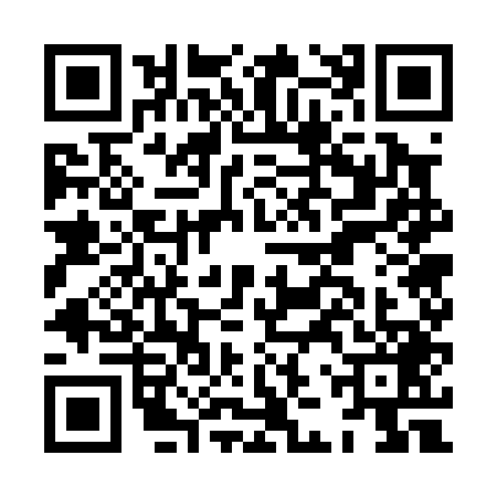 QR code for HJW0497