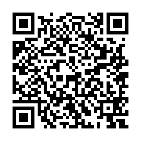 QR code for HLJ1994
