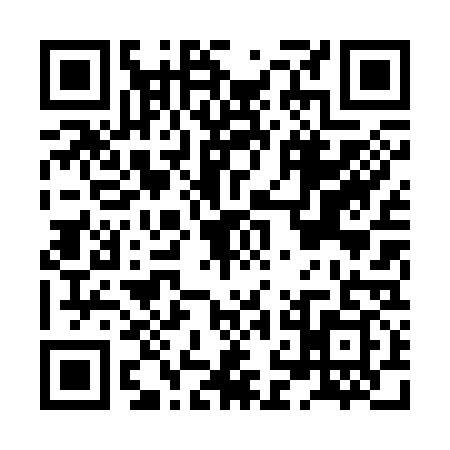 QR code for HNL3397