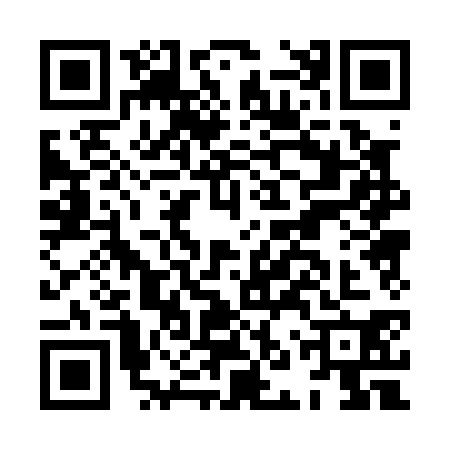 QR code for HNP0309