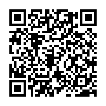 QR code for HNX0313