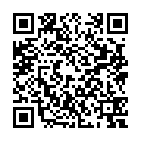 QR code for HNY0390