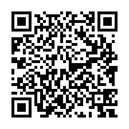QR code for HOL3387