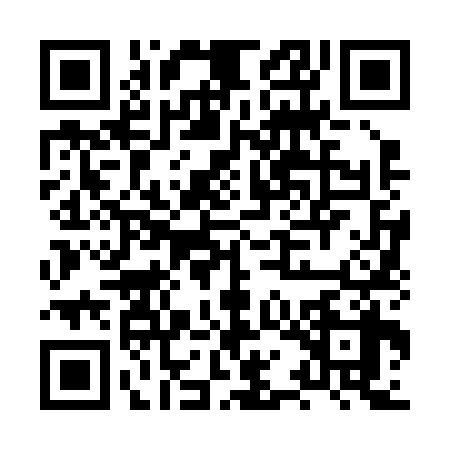 QR code for HQN2386