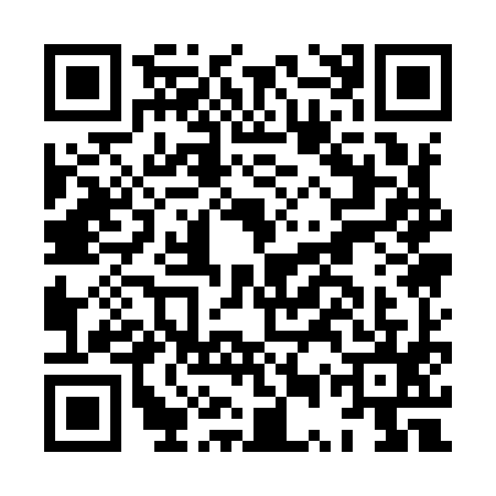 QR code for HUQ9953