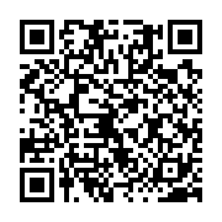 QR code for HYQ7317