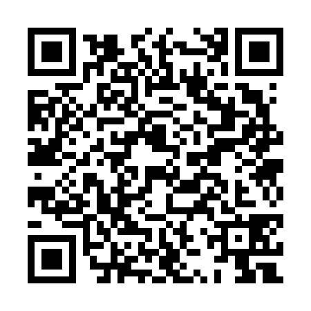 QR code for HZS6383