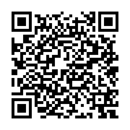 QR code for IBO5203