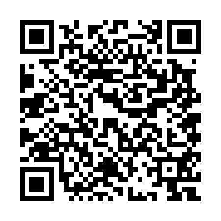 QR code for IBV0507