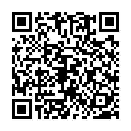 QR code for IBX7293