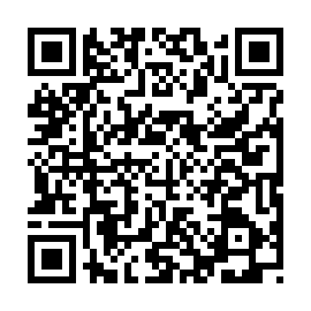 QR code for ICA6475