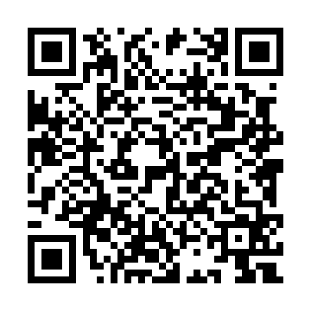 QR code for ICL0641