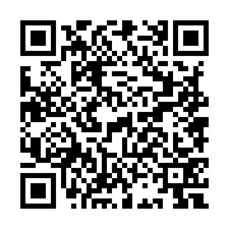 QR code for ICN9738