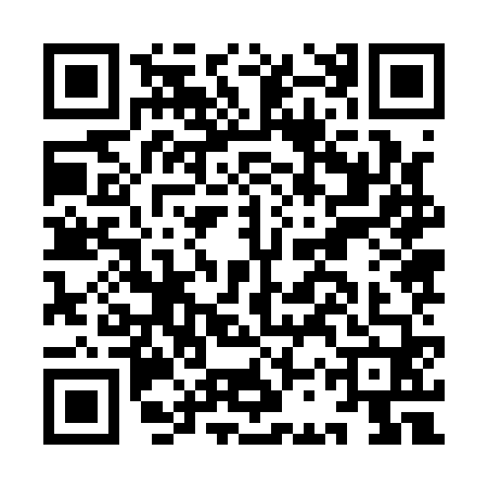 QR code for ICZ1607