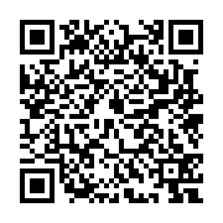 QR code for IDO0335