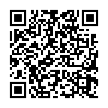 QR code for IEE6685