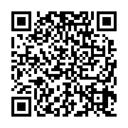 QR code for IFR2394
