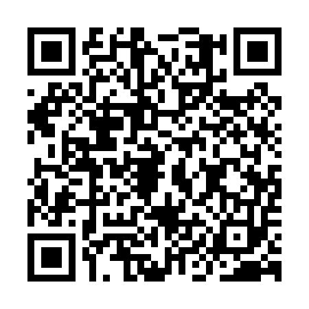 QR code for IIA0539