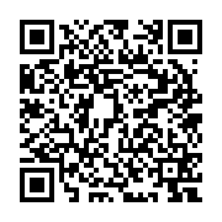 QR code for IIC2616