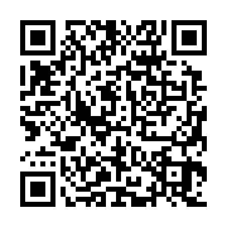 QR code for IIC3234