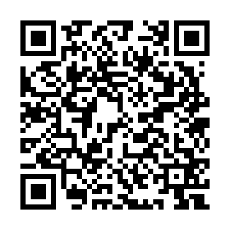 QR code for IIC6626