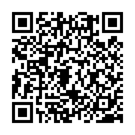 QR code for IIG4118