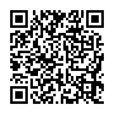 QR code for III8739