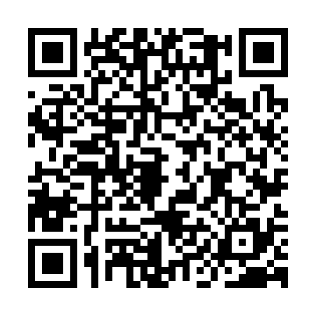 QR code for IIN3358
