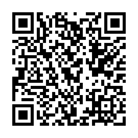 QR code for IIN9383