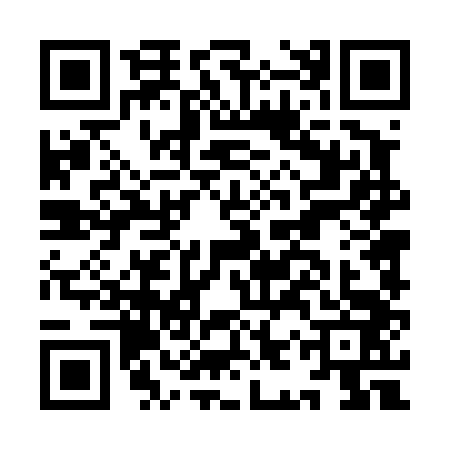 QR code for IIT4434
