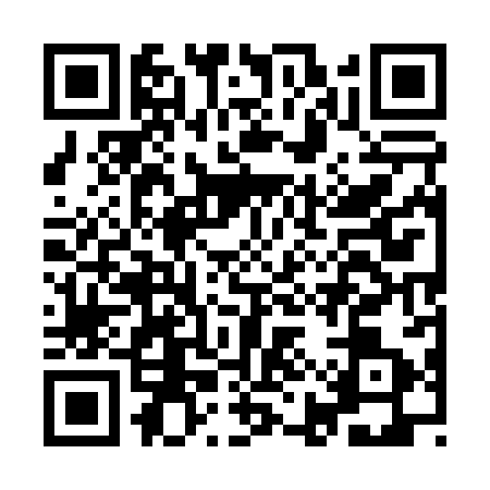 QR code for IIU0838
